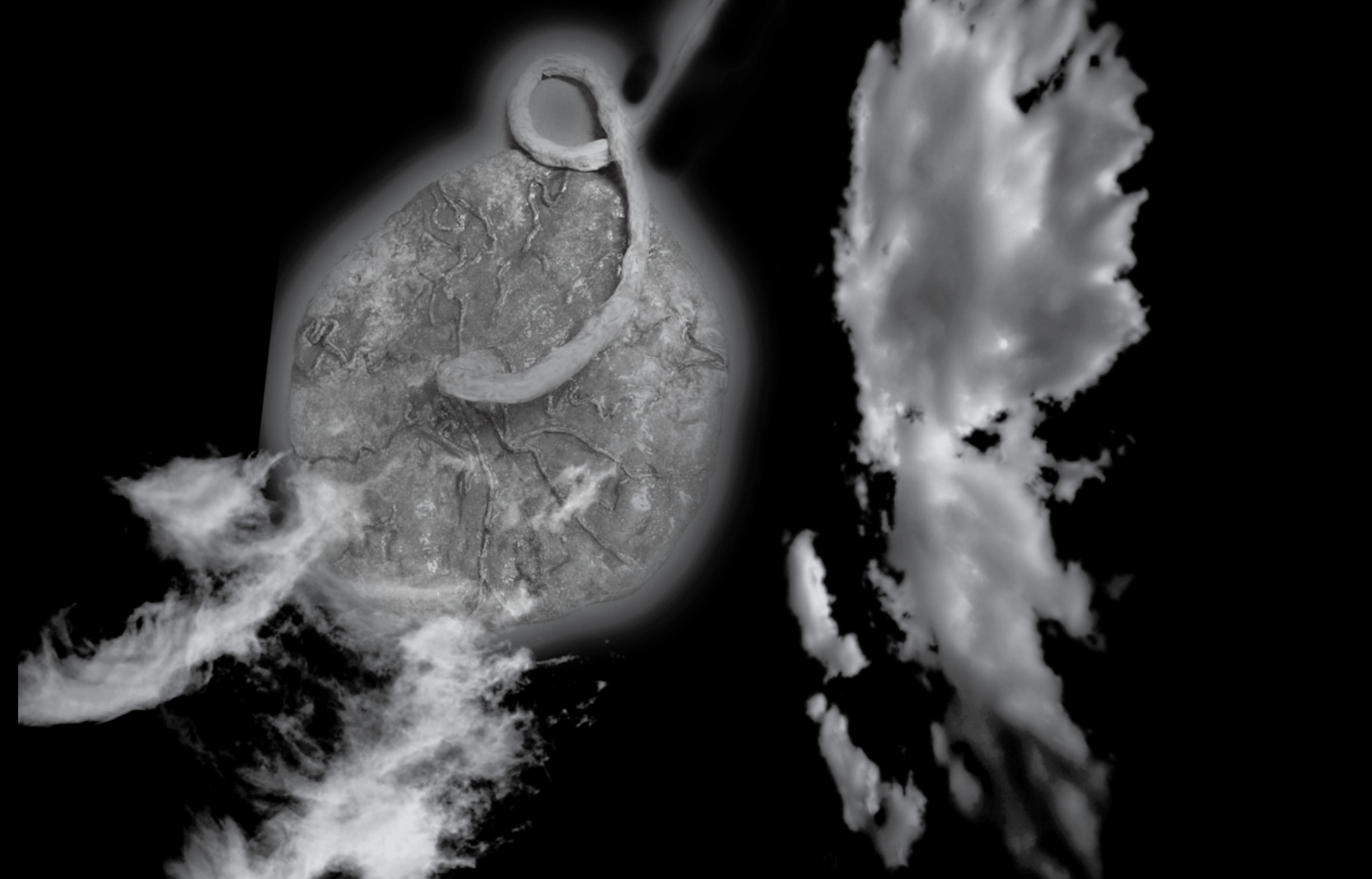 Abstract interstitial image with clouds and a placenta.