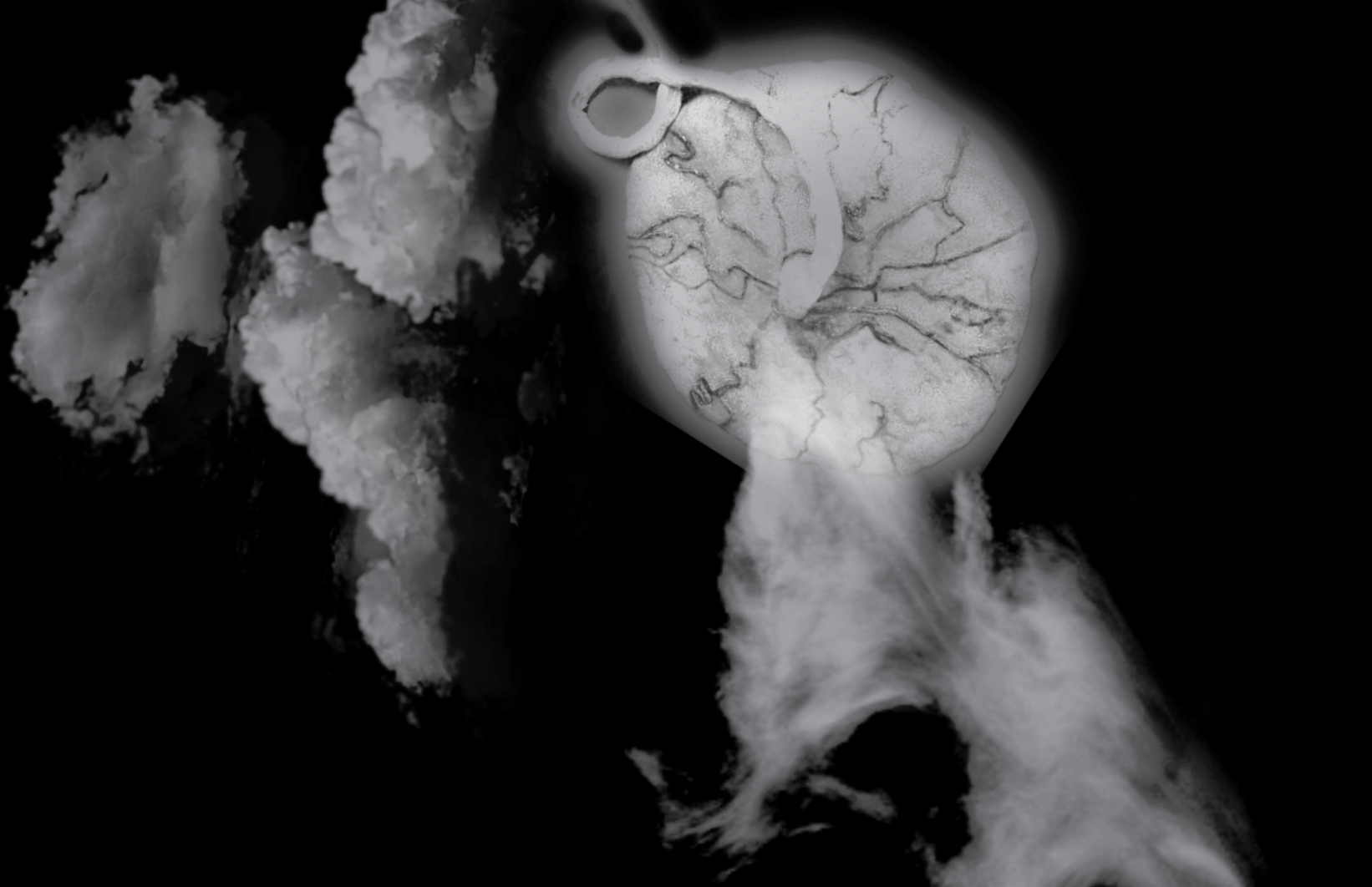 Abstract interstitial image with clouds and a placenta.