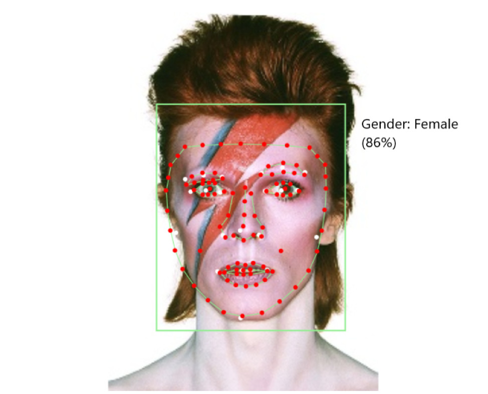 A portrait of David Bowie with visible facial recognition analysis points including red dots around the eyes, nose, mouth, and face outline; with a green bounding box. A label to the right reads the algorithm's conclusion: 