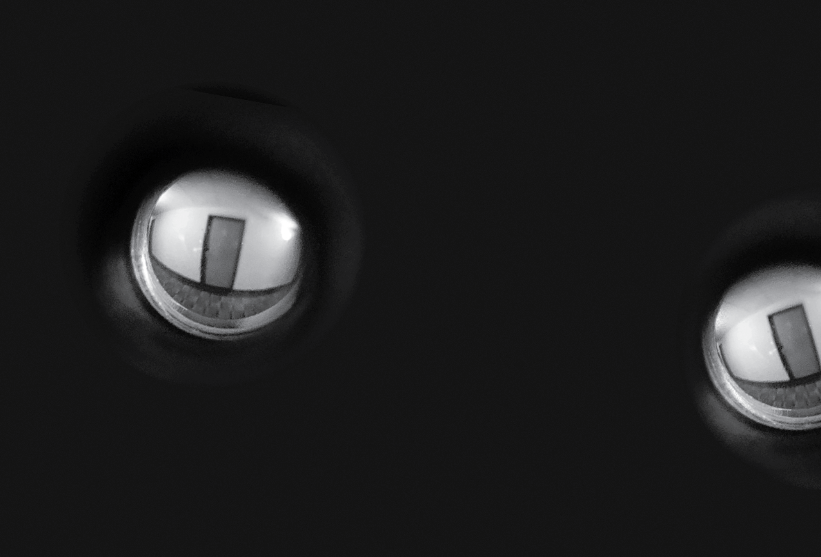 An abstract image of bubbles that look like frog eggs, which contain a scene that appears to be a view out a peephole