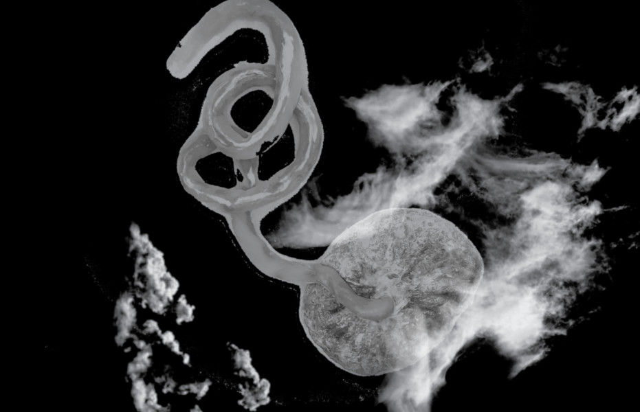 Abstract interstitial image with clouds and a placenta.