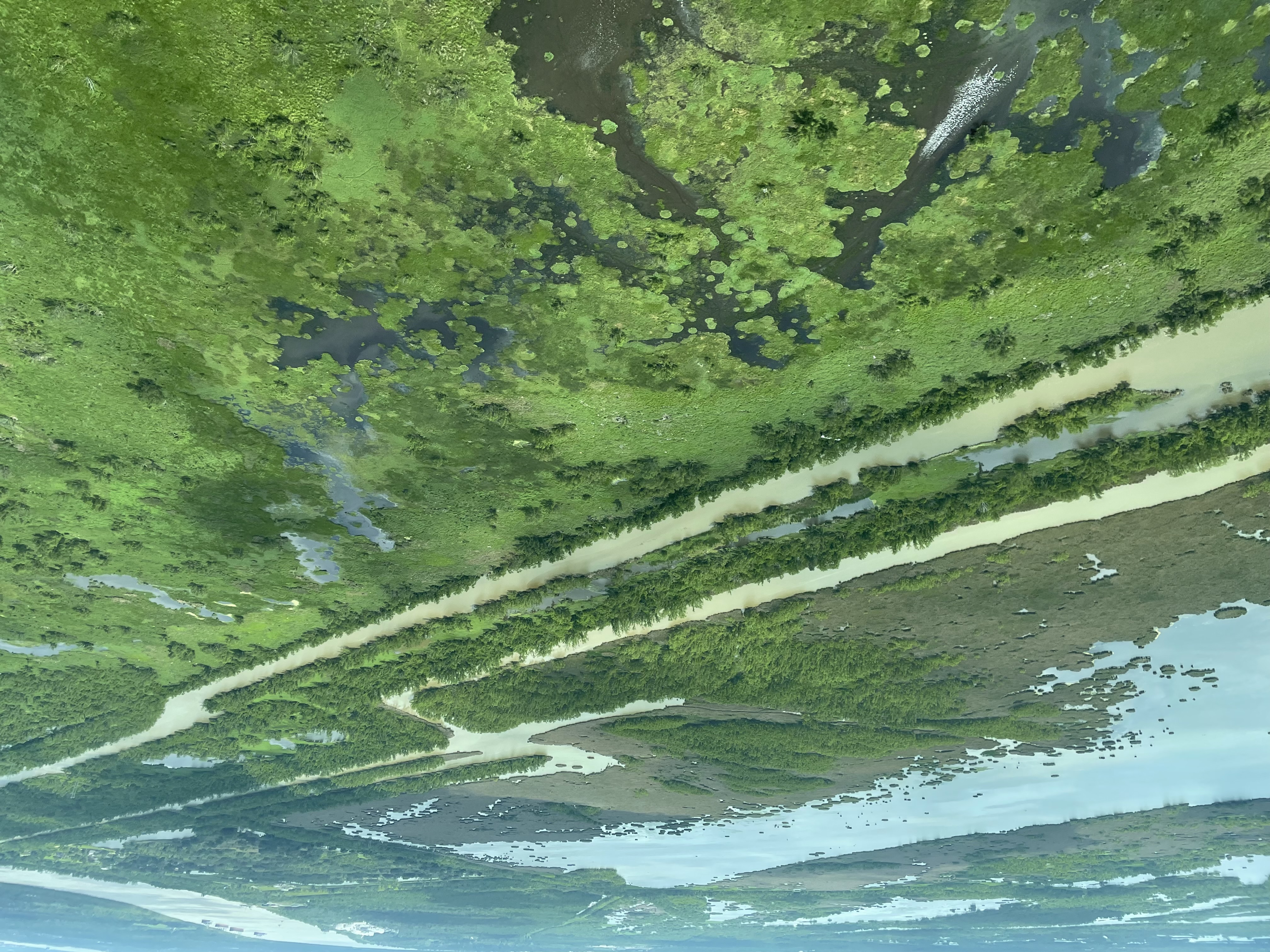 The oil and gas industry dug hundreds of miles of canals throughout South Louisiana last century. Photo: Xander Peters, 2023. 		