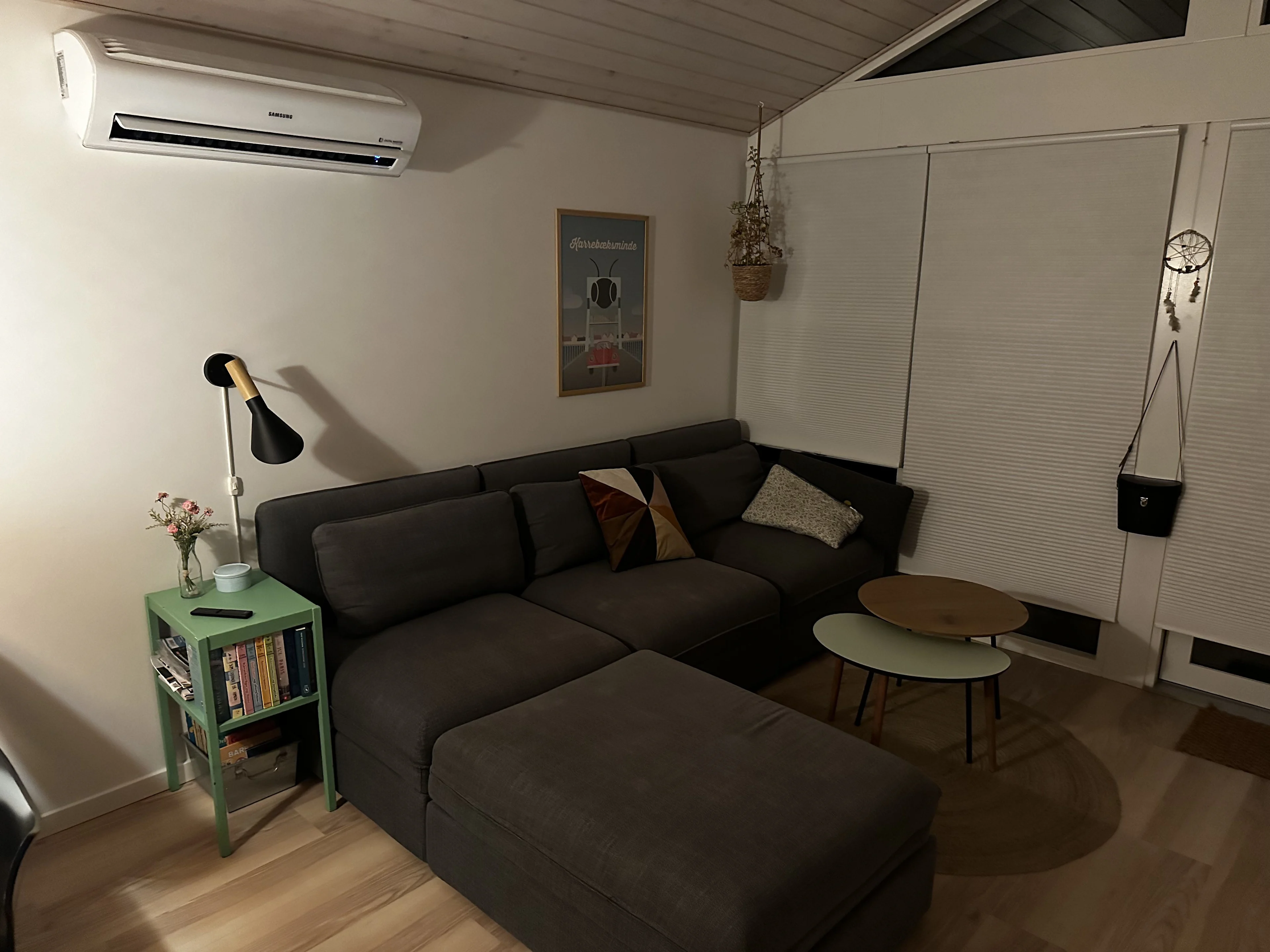 Cleaning - livingroom 2