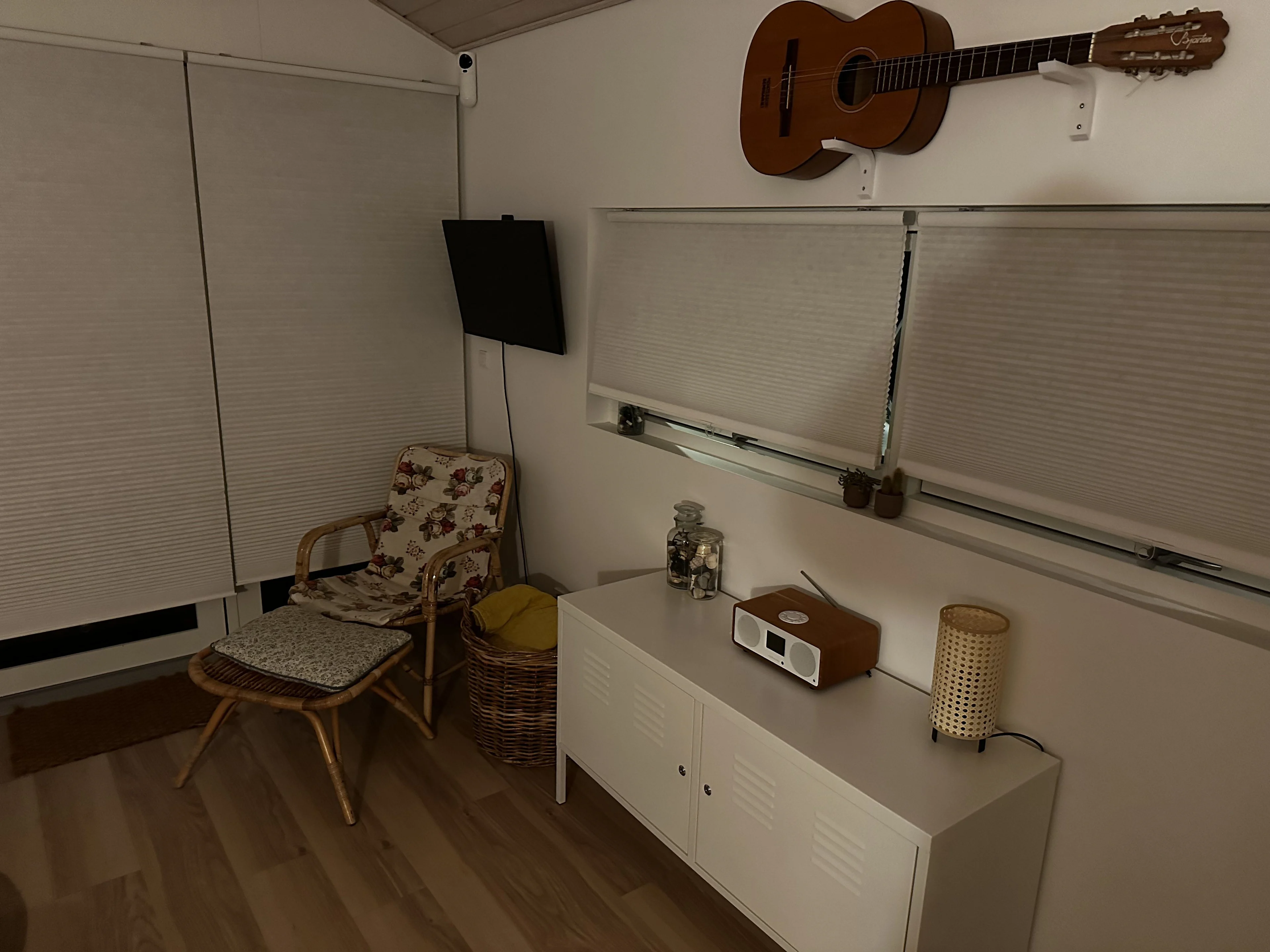 Cleaning - livingroom 1