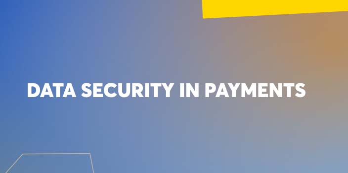 Data Security in Payments image