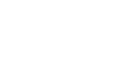 Texas Capital Bank Logo