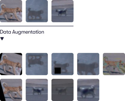 A photo of how Waymo can augment a photo of a dog