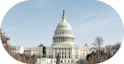 The White House