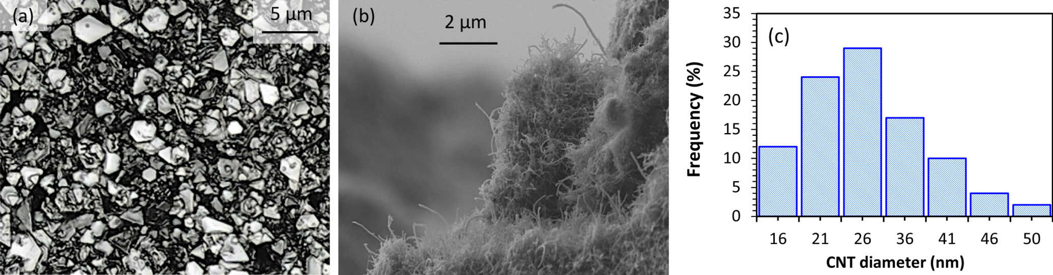 Optical close-up of an Ag imprint (a), SEM close-up of a CNT imprint (b), and histogram of the outer diameter of the CNT powder used as filler in the CNT inks (c).