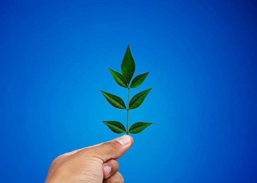 environmentally-friendly-cooler