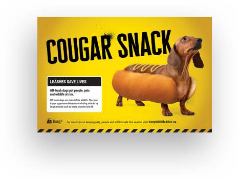 An ad from the Keep Wildlife Alive campaign we created for the Town of Banff. The ad shows a dachshund in a hot dog bun alongside the tag line "Cougar snack."