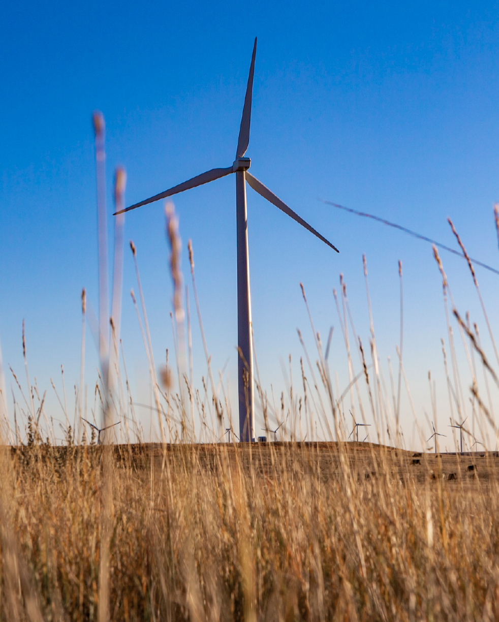 wind-turbine-in-field-desktop.jpg