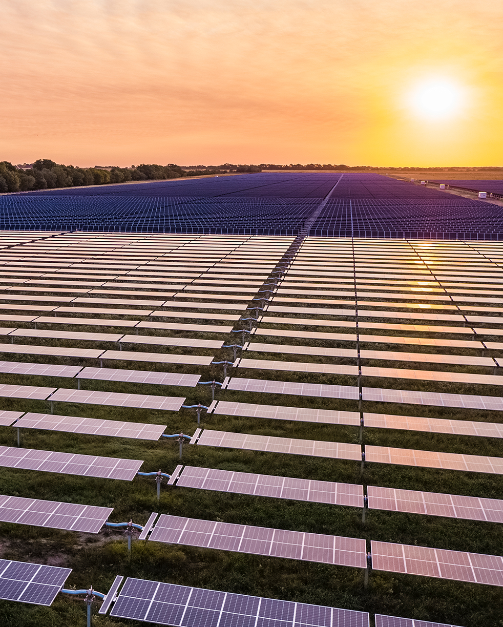 solar-panel-farm-at-sunset-portrait.jpg