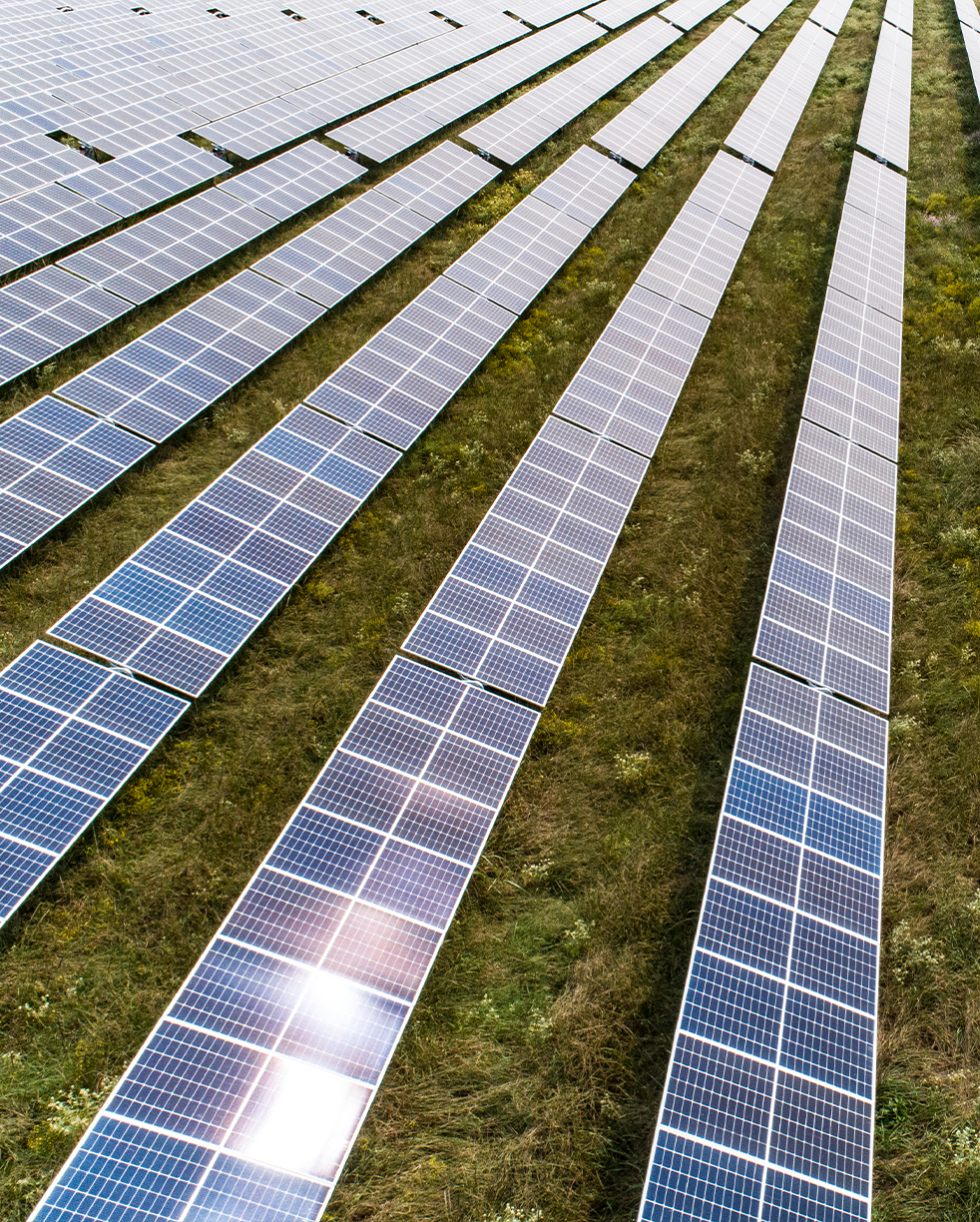 rows-of-solar-panels-portrait.jpg