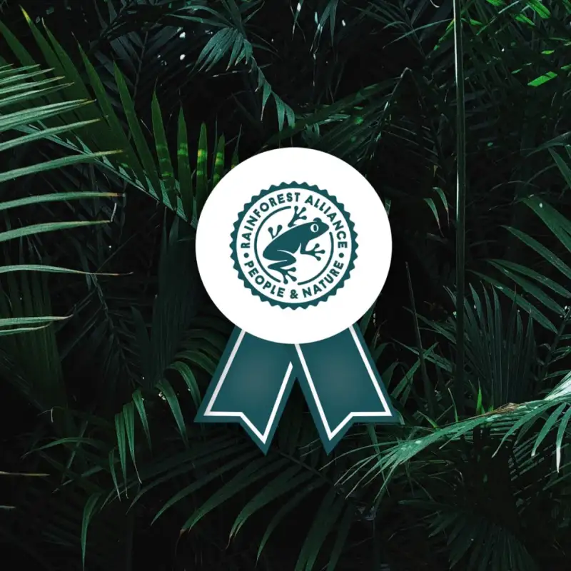 lipton sustainability sourcing rainforest-alliance