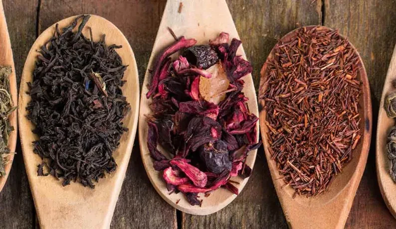 TIPOS DE TÉ: UNA GUÍA PRÁCTICA