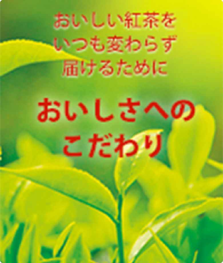 Kodawari Page | Lipton Japan