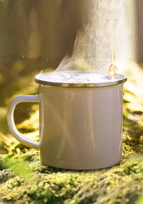 Tea Products | Canada EN | Lipton