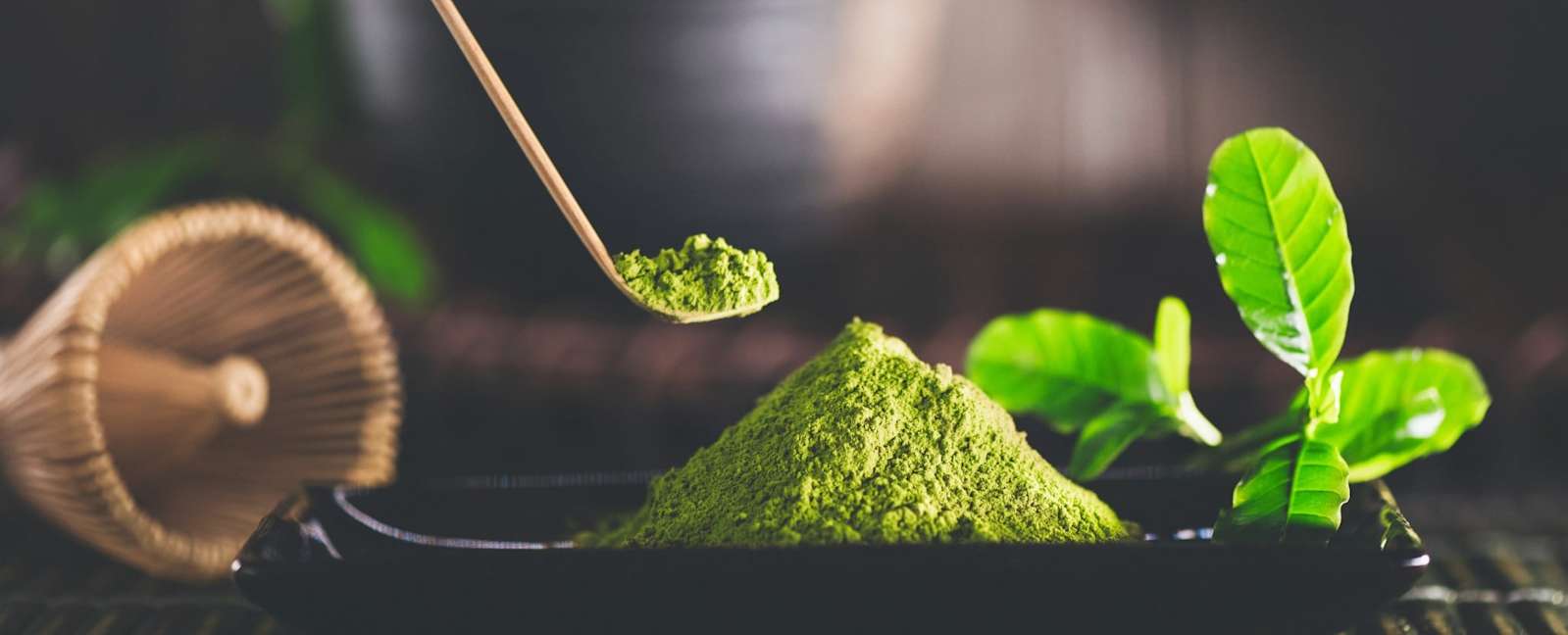 The Journey of Matcha Tea Explore the History and Benefits of Matcha Tea