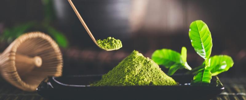 FROM LEAF TO BAG: THE JOURNEY OF MATCHA TEA