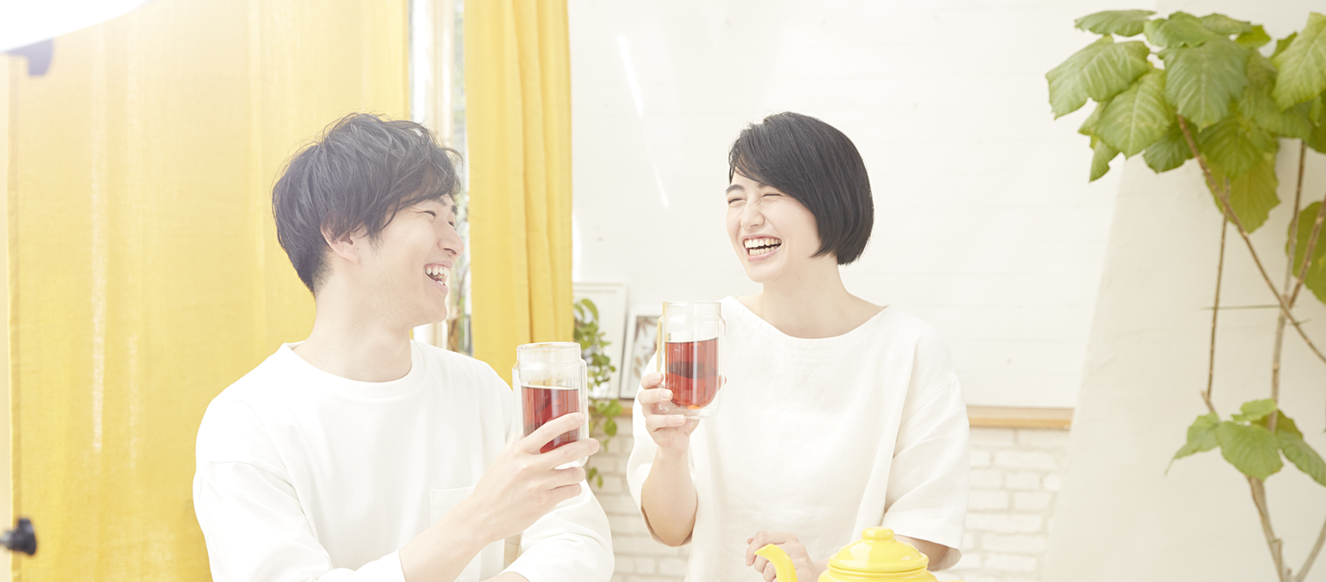 Contact Us Hero Image | Lipton Japan