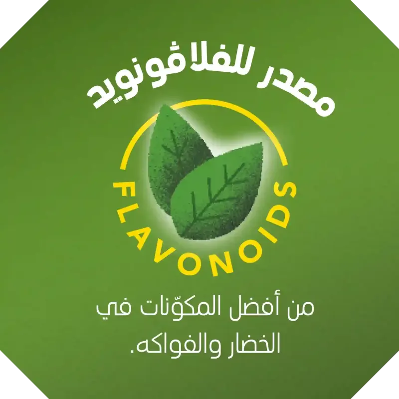 Source of Flavonoids Image