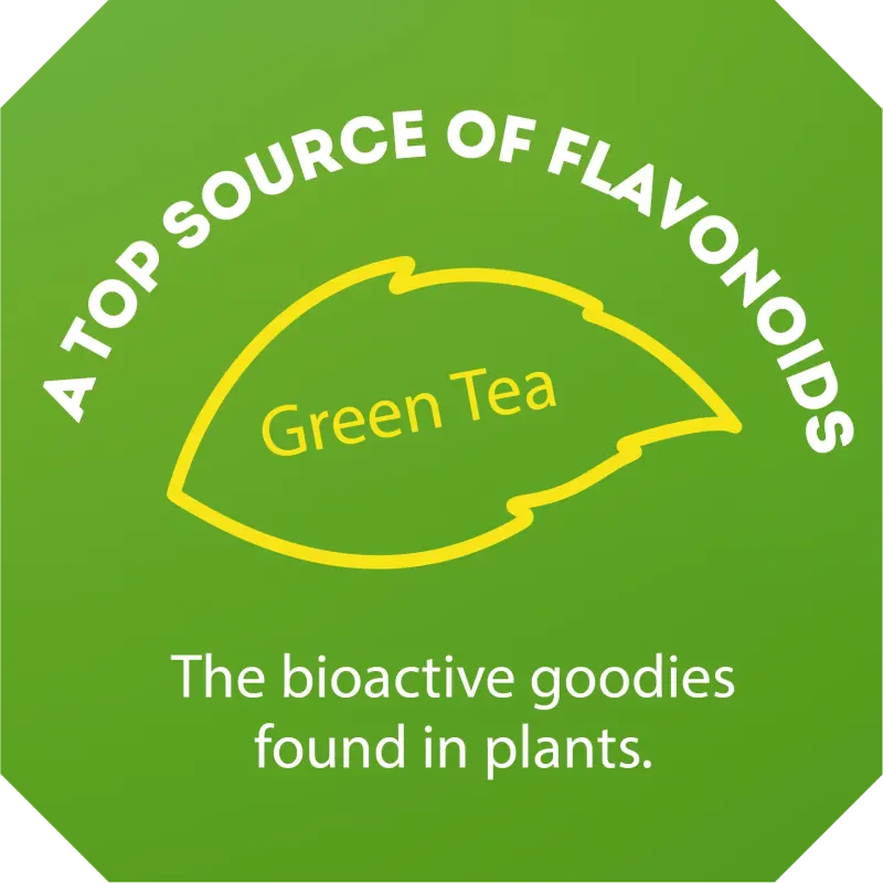 A Lipton green tea bag tag with a yellow outline of a tea leaf in-between text that reads, 