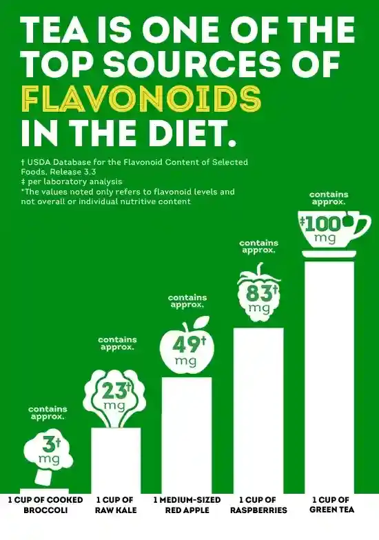 TEA IS ONE OF THE TOP SOURCES OF FLAVONOIDS IN THE DIET