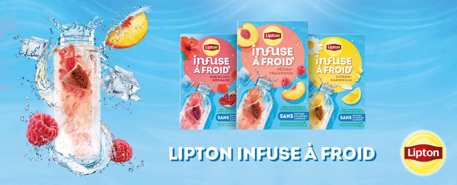 lipton infuse a froid banniere