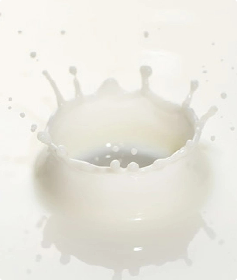 フレッシュな牛乳のコク | Lipton Japan