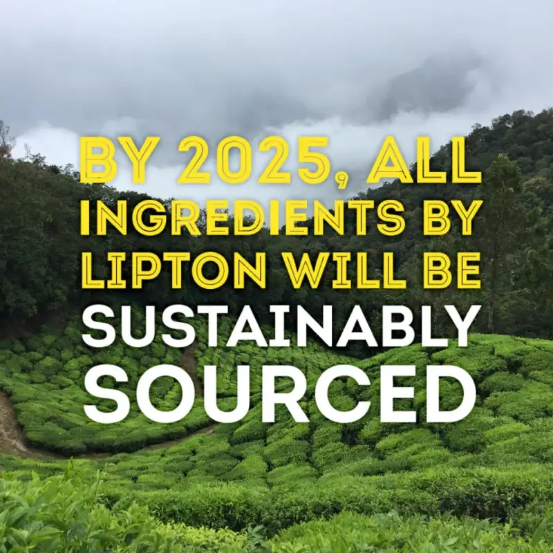 lipton sustainability we strive to reduce