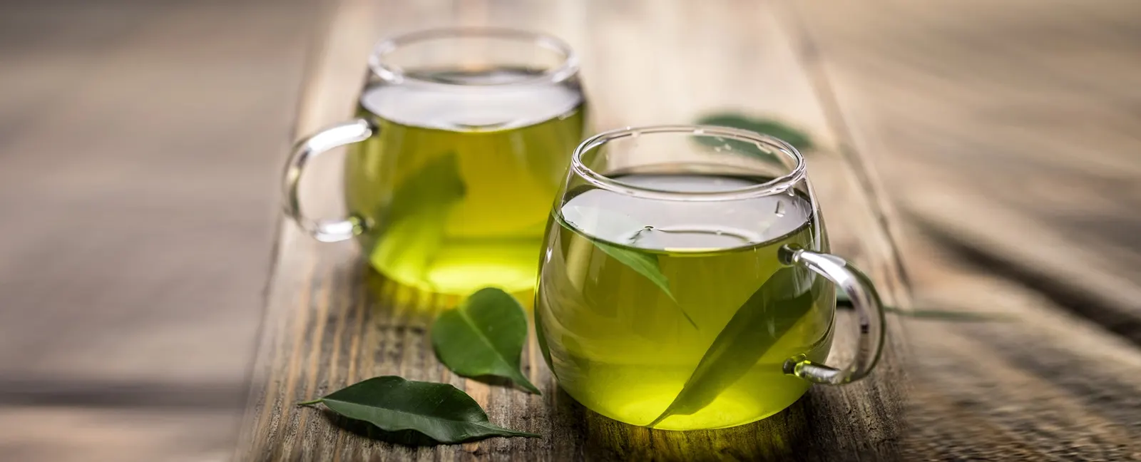 All you need to know about green tea