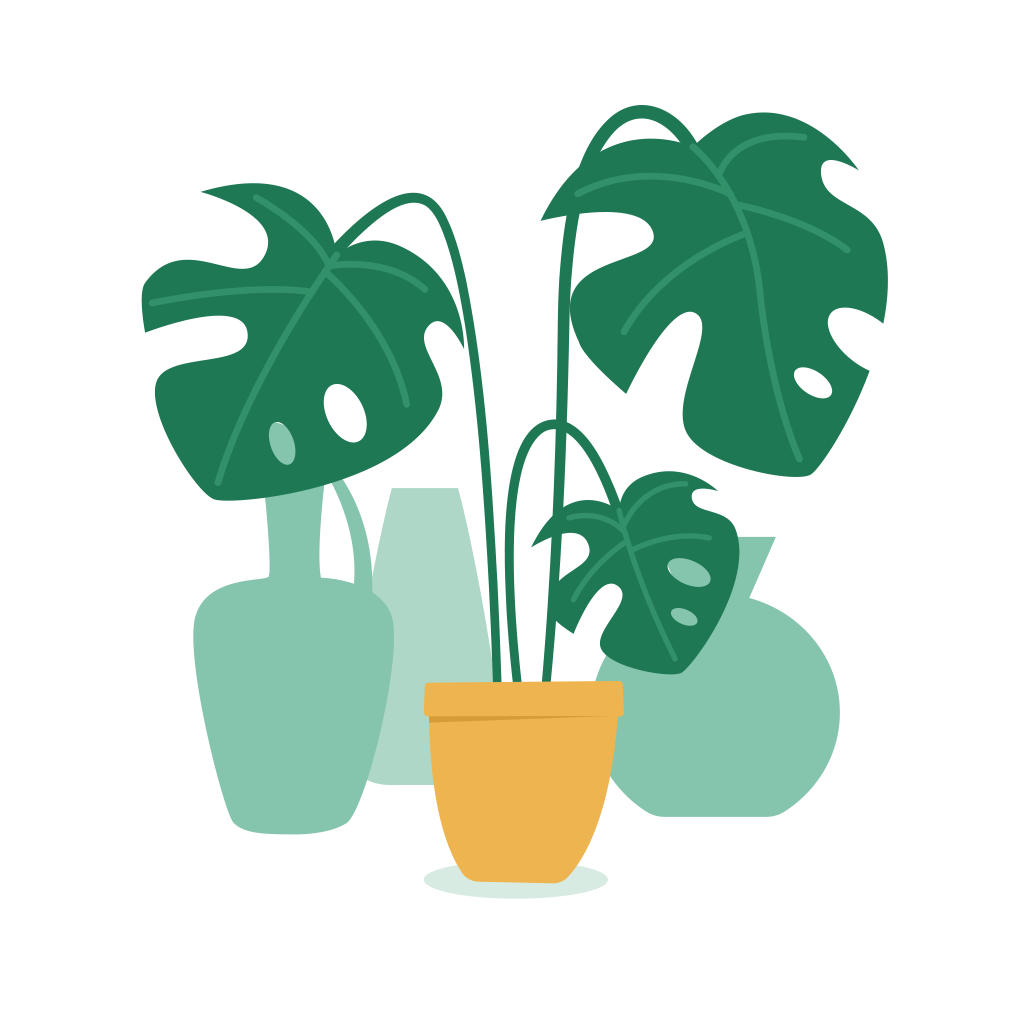 Illustration växt monstrea