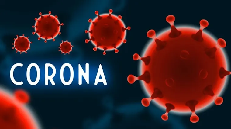 Corona - Hjärt-Lungfonden
