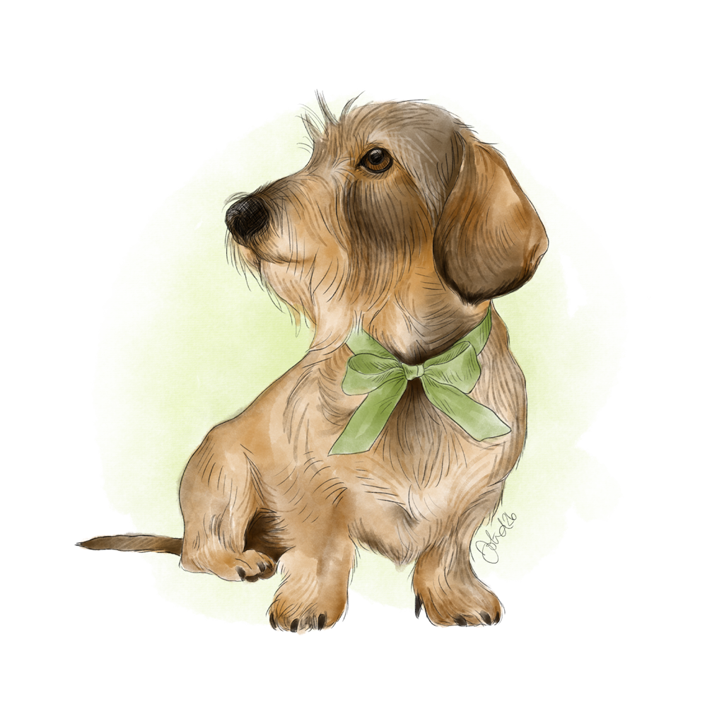 Illustration över tax