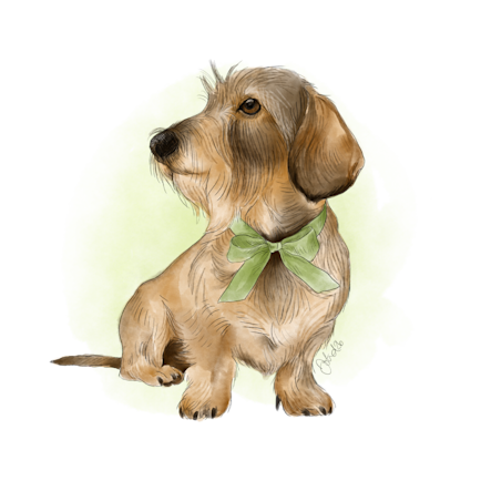 Illustration över tax