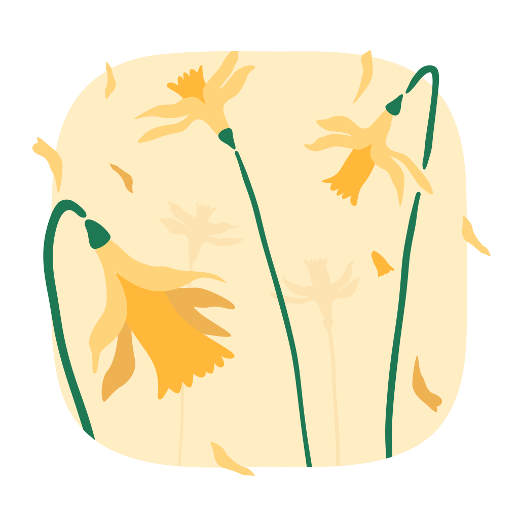 Illustration påskliljor