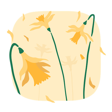 Illustration påskliljor