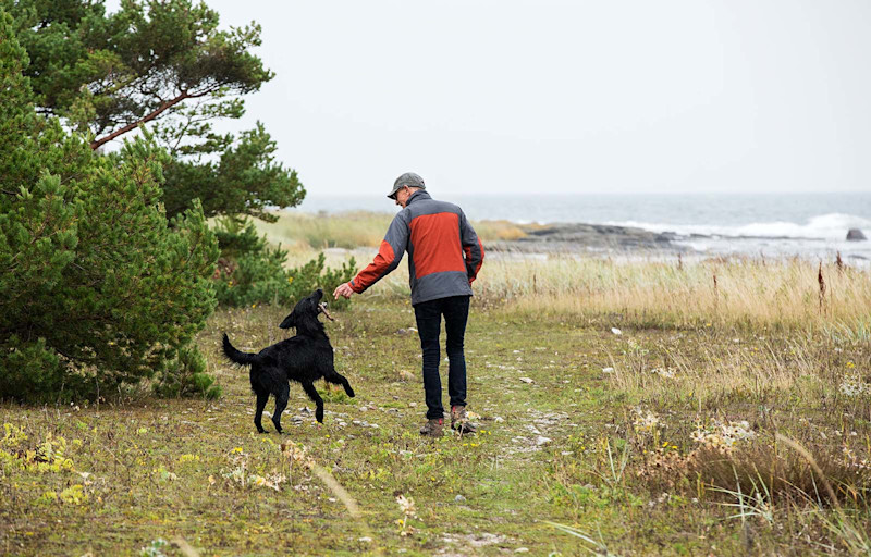 Äldre man promenerar med hund vid vattnet.