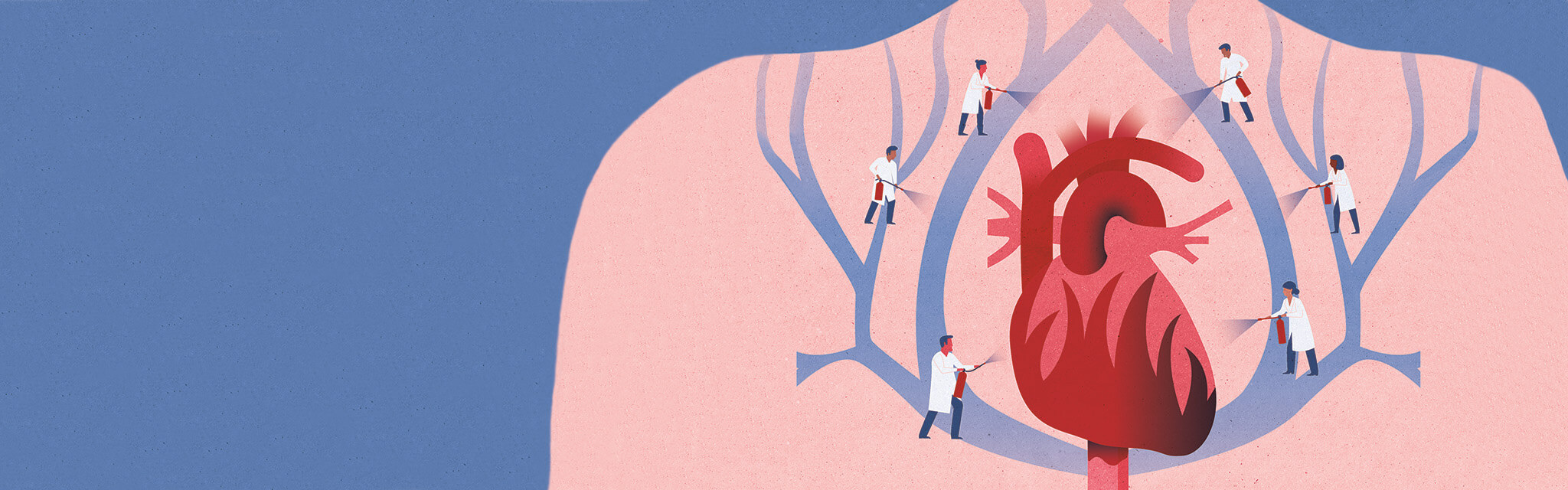Så fungerar ditt hjärta, illustration.