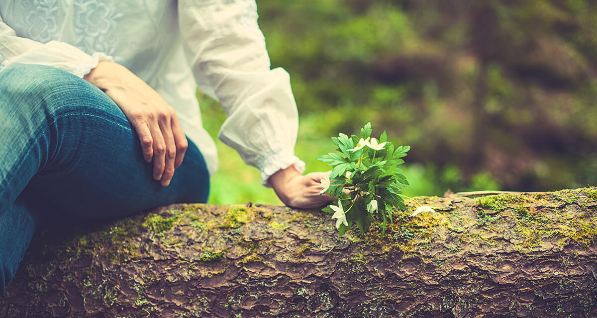 Kvinnohänder håller i vitsippor.