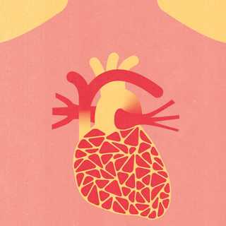 Illustration av ett hjärta som symboliserar högt kolesterol