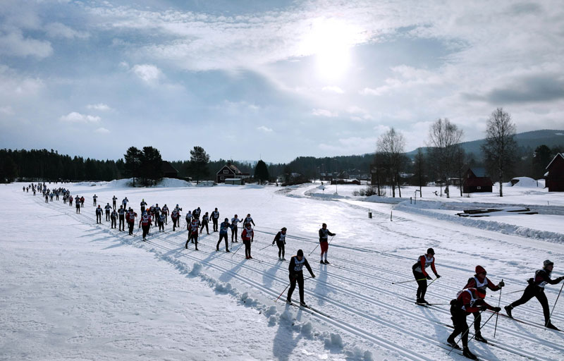 Vasaloppsåkare i ett soligt spår.