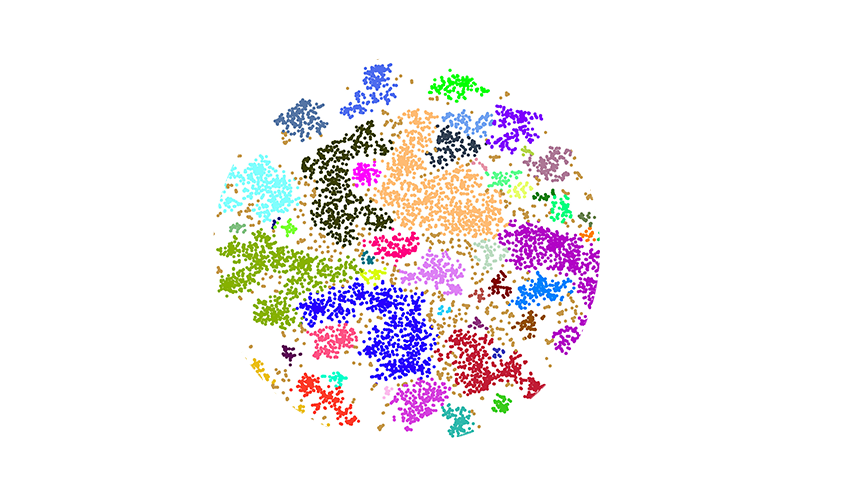 Bild på rapporten från Damvad