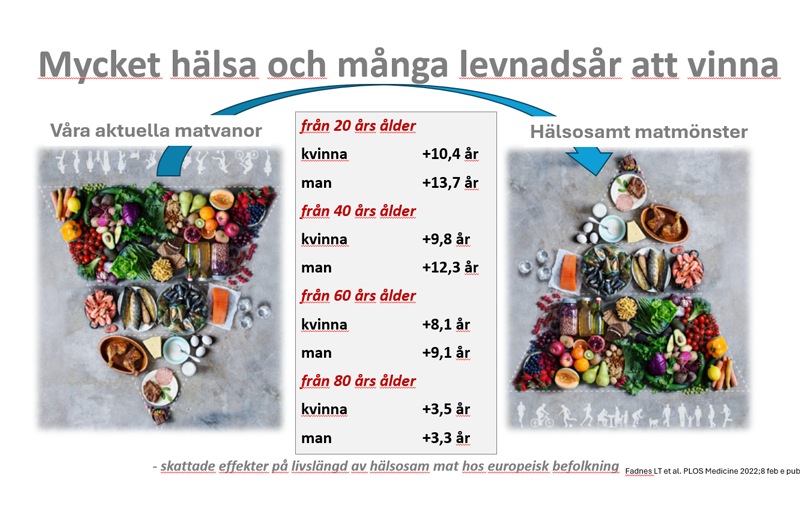 Matmönster