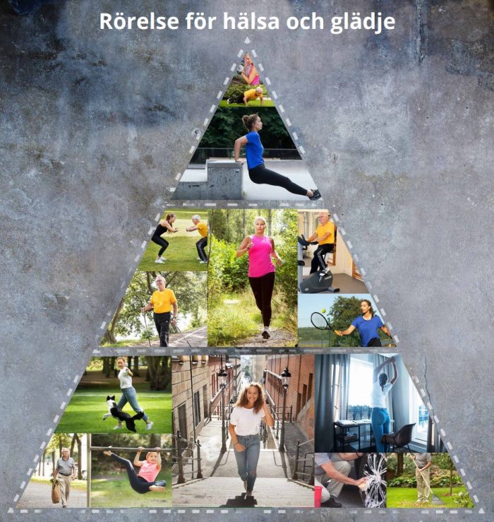 Rörelsepyramiden - rörelse för hälsa och glädje