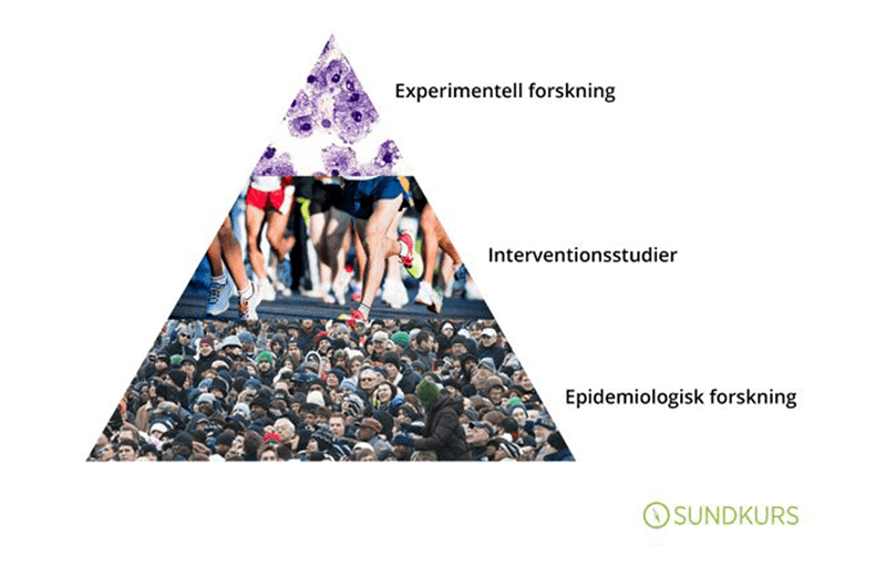 Pyramid visar kunskapsutvecklingen om fysisk aktivitet