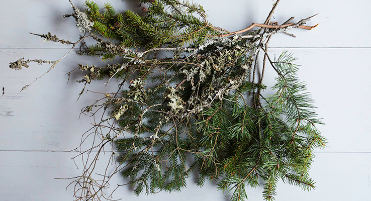 Vintergröna kvistar på vitt trägolv.