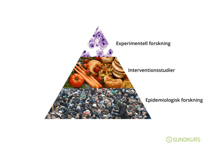 Pyramid som visar olika typer av vetenskapligt baserad kunskap