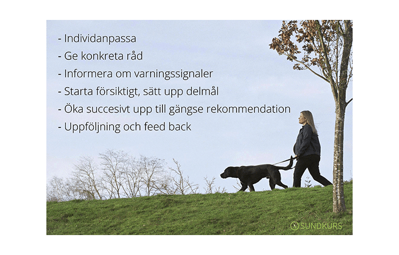 Text med råd om riskfri rådgivning om fysisk aktivitet, kvinna med hund på promenad